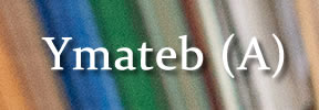 Ymateb (A)