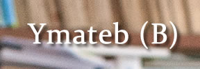 Ymateb (B)